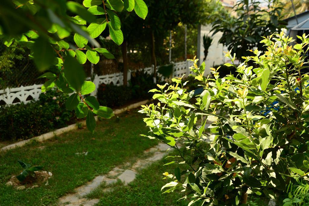 Pinar Hotel Alanya Buitenkant foto